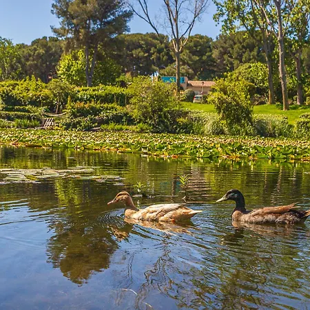 Les Rivages De Coudouliere-9 By Interhome