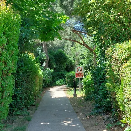 Les Rivages De Coudouliere-9 By Interhome 식스포즈레스플라지스