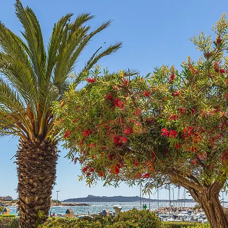 Les Rivages De Coudouliere-9 By Interhome 아파트